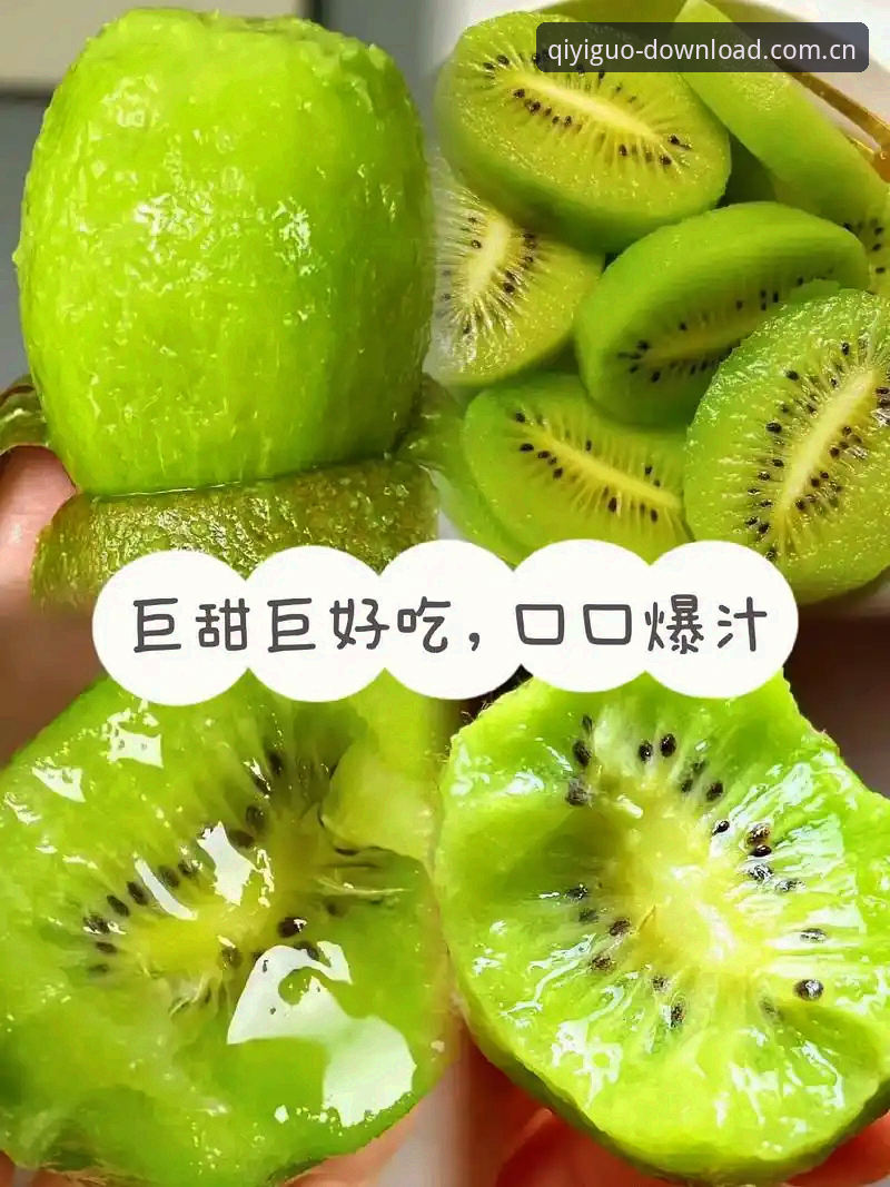 奇异果体育官方安装教程深度评测：2024年最新版App体验全解析