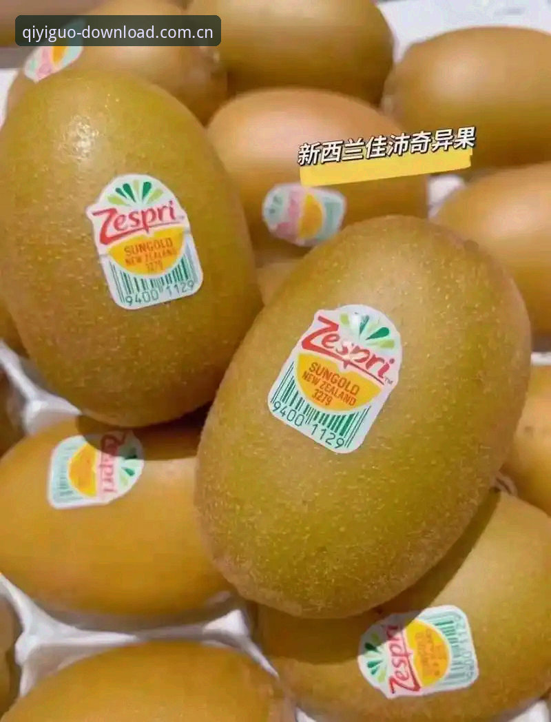 奇异果体育官网安全吗？2024新手必备的正版下载实用指南