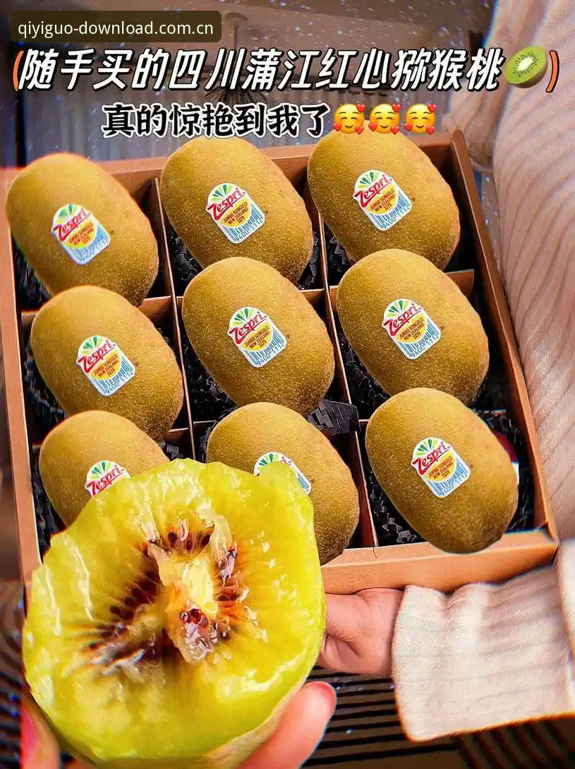 新手必看：奇异果体育安全吗攻略——资深用户分享2024年正版下载与使用心得